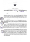 Vista preliminar de documento RDR N° 273-2024-12-06-2024