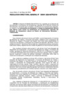 Vista preliminar de documento RDG 000041-2024 IE y LE Diseño de Instrumentos Musicales