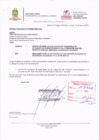 Vista preliminar de documento INFORME EVALUACION II TRIMESTRE
