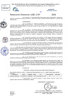 Vista preliminar de documento Resolucion Directoral N° 003762-2024