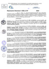 Vista preliminar de documento Resolucion Directoral N° 003764-2024