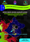 Vista preliminar de documento BOLETIN 01