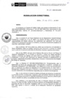 Vista preliminar de documento R.D.N.200-2024-INSN-DG