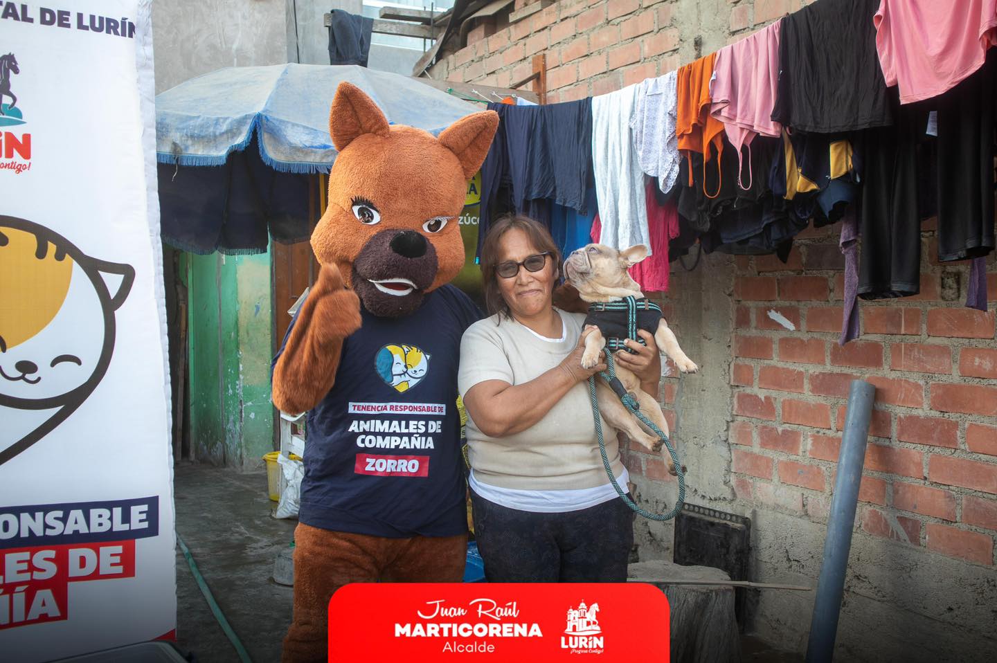 Archivo de JPG sobre una publicación del área de imagen