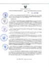 Vista preliminar de documento RES-391-2024-GRDS