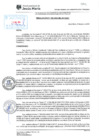 Vista preliminar de documento RGA-82-2024-MDJM