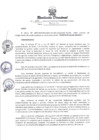 Vista preliminar de documento RESOLUCION DIRECTORAL N° 011-2024