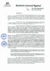 Vista preliminar de documento RGR 078-2024-GRPPAT