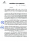Vista preliminar de documento RGR 77-2024-GRPPAT