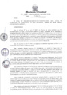 Vista preliminar de documento RESOLUCION DIRECTORAL N° 019-2024