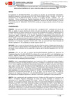 Vista preliminar de documento RG141