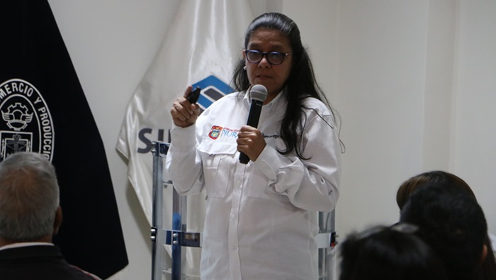 Subgerencia de Riesgo de Desastres
