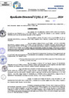 Vista preliminar de documento Resolucion Directoral N° 003771-2024