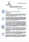 Vista preliminar de documento RD Nº 134-2024-DGINSM-HD-HN