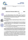 Vista preliminar de documento Resolucion Directoral N° 003780-2024