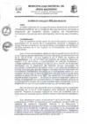 Vista preliminar de documento AC-025-2024