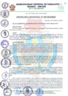 Vista preliminar de documento ORDENANZA MUNICIPAL N° 0003-MDP