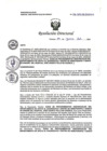 Vista preliminar de documento RD N° 115-2024-DE/HJATCH