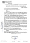 Vista preliminar de documento RCM24N336