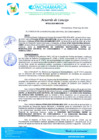 Vista preliminar de documento acuerdo de consejo N° 032