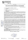 Vista preliminar de documento RCM24N339