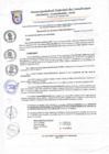 Vista preliminar de documento resolucion 30