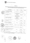 Vista preliminar de documento Cronograma Presupuesto Participativo 2017