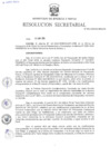 Vista preliminar de documento RS- N° 035-2024-MINEM-SG