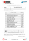 Vista preliminar de documento Resultados Curriculares- CAS N° 026-2024