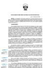 Vista preliminar de documento RDE-052-2024-PROCIENCIA-DE
