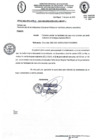 Vista preliminar de documento Documento 100