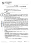 Vista preliminar de documento ACM24N103