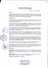 Vista preliminar de documento Resolución de Dirección Ejecutiva N° 226-2016-PATPAL-FBB-MML