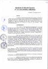 Vista preliminar de documento Resolución de Dirección Ejecutiva N° 231-2016-PATPAL-FBB-MML