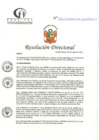 Vista preliminar de documento RD N°162-05-2024-DE-HCLLH-MINSA