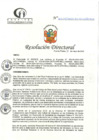 Vista preliminar de documento RD N°163-05-2024-DE-HCLLH-MINSA