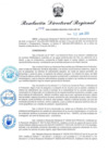 Vista preliminar de documento RDR-549-2024