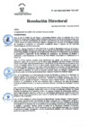 Vista preliminar de documento RD Nº 136-2024-DGINSM-HD-HN