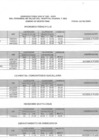 Vista preliminar de documento Cuadro de Merito Final CAS 005-2024