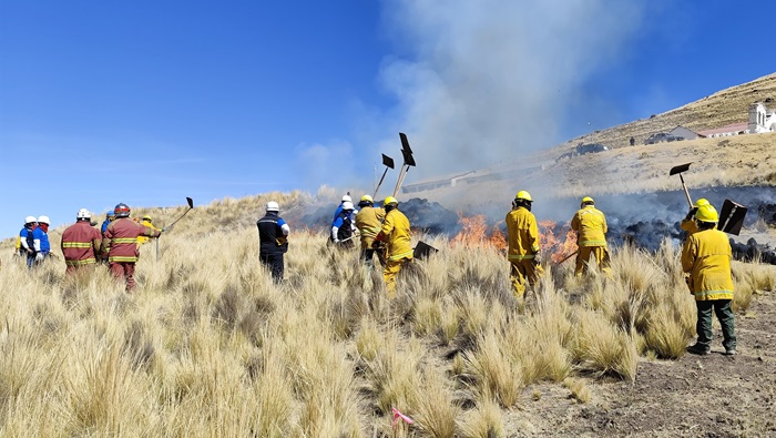 taller incendios forestales