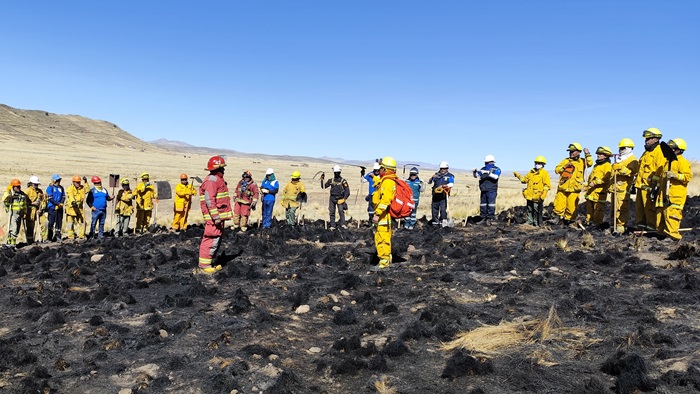taller incendios forestales