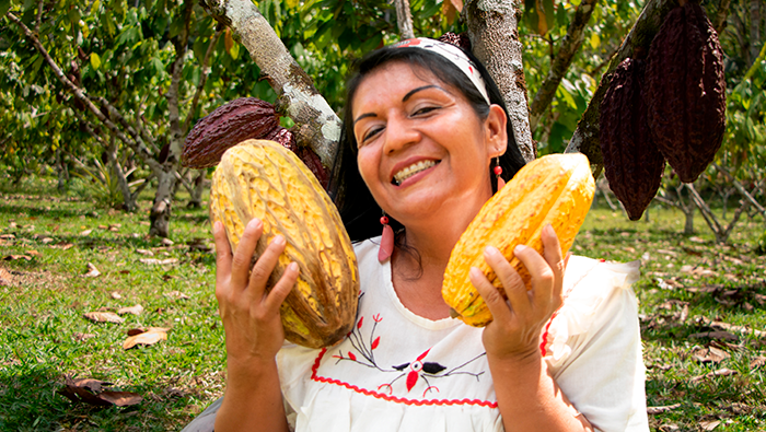 San Martín: Cooperativas asistidas por Devida destacan en el Concurso Regional de Cacao de Calidad 2024