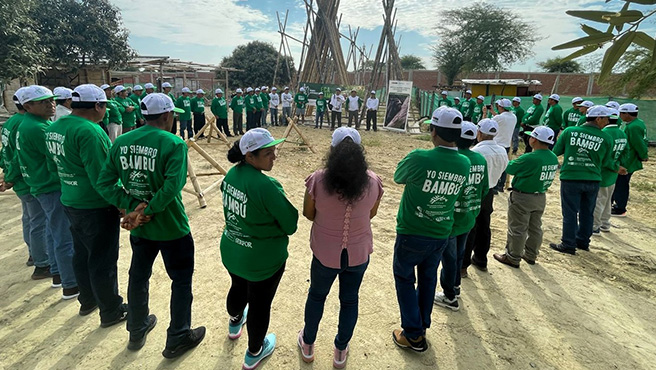formalización