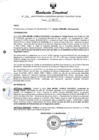 Vista preliminar de documento RESOLUCION DIRECTORAL N° 041-2024