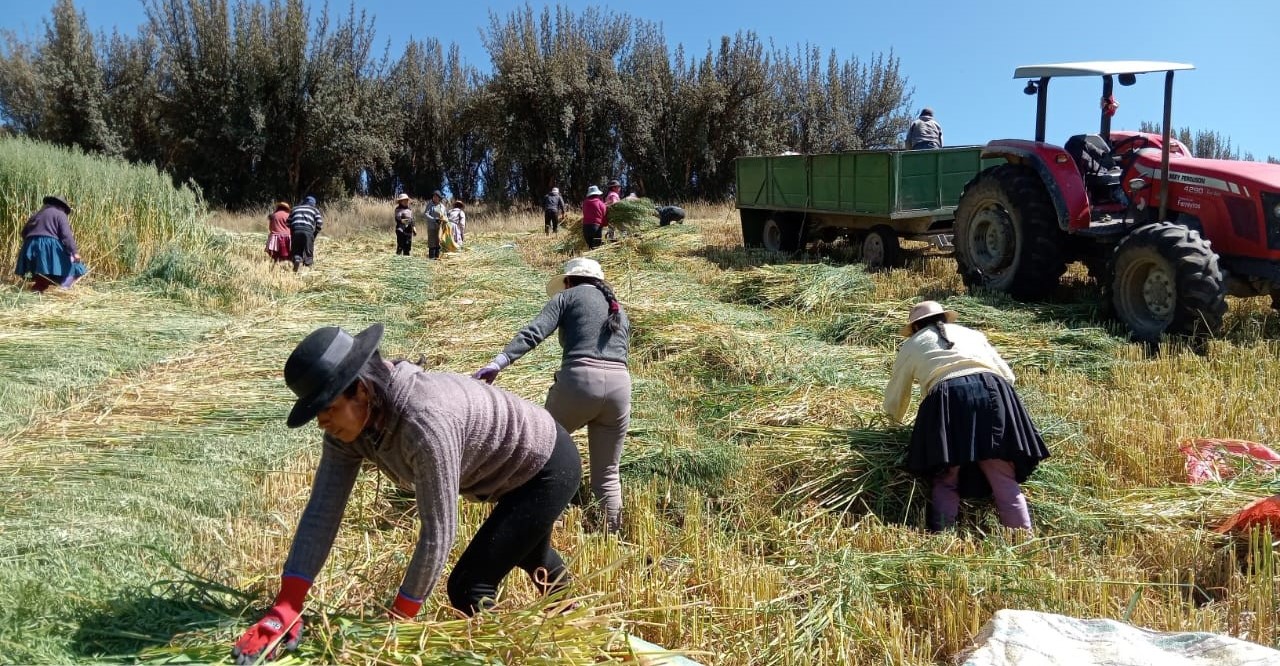 AGRO RURAL