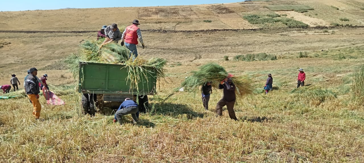 AGRO RURAL