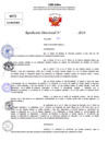 Vista preliminar de documento Resolucion Directoral N° 003793-2024