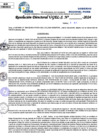 Vista preliminar de documento Resolucion Directoral N° 003800-2024