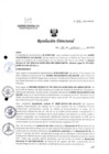Vista preliminar de documento R.D. 541-2023