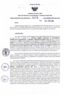 Vista preliminar de documento RDR N° 275-2024-12-06-2024